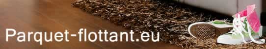 parquet-flottant.eu